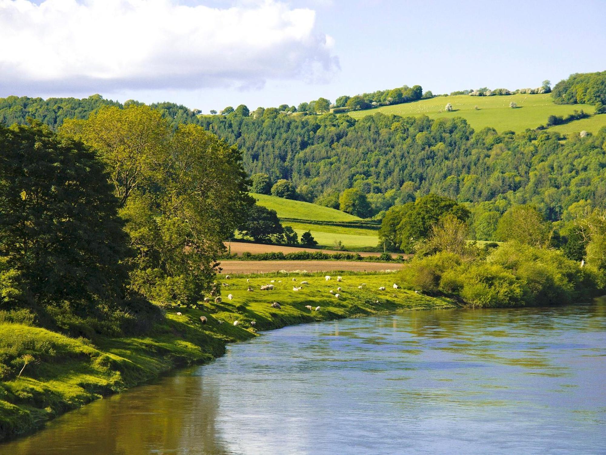 Bridge Holiday home Mitchel Troy