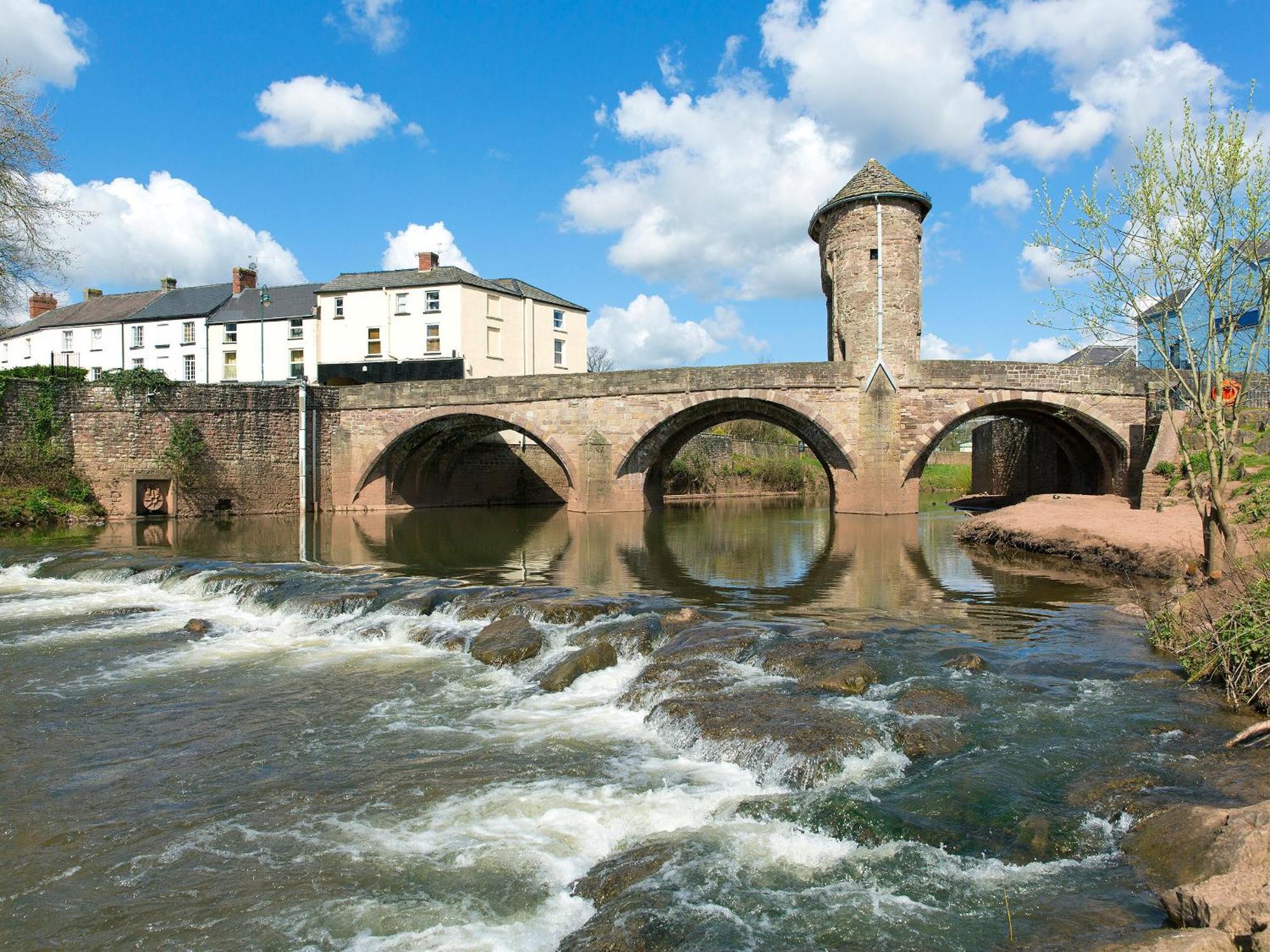 Bridge * Mitchel Troy